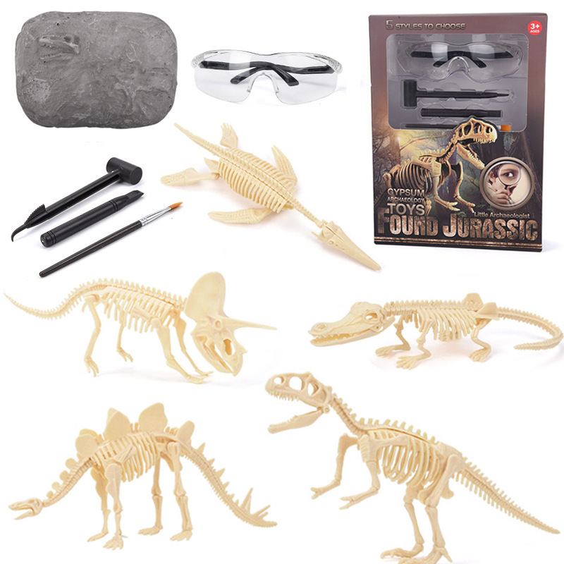 Model Kit Girls - Kit di Scavo di Fossili di